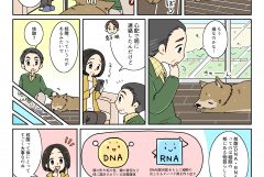【健康食品】「あまり知られていないけれど、使うと良い効果が期待できる」 という商品をPRする時：広告マンガがおすすめです！